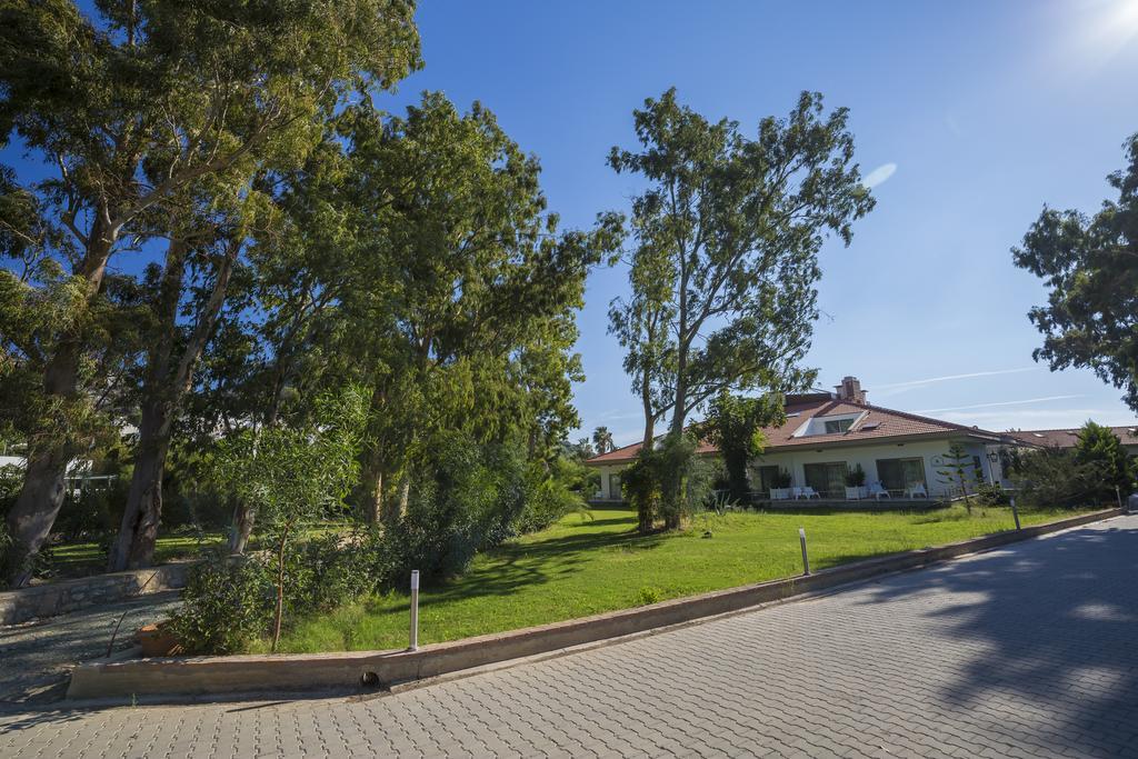 Palm Bay Beach Hotel Emecik Εξωτερικό φωτογραφία