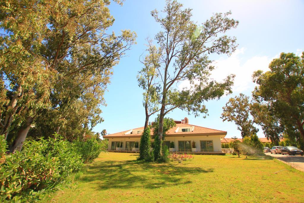 Palm Bay Beach Hotel Emecik Εξωτερικό φωτογραφία